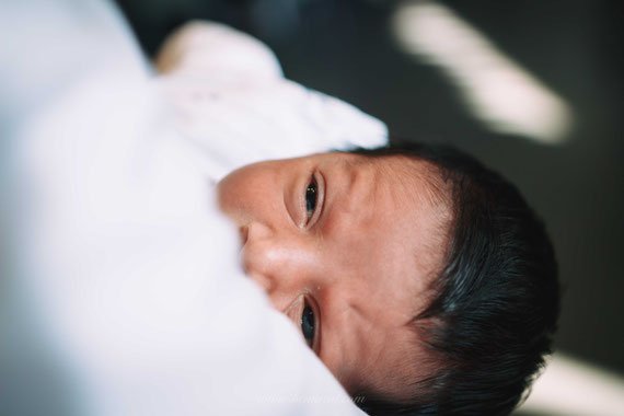 צילום הרך הנולד