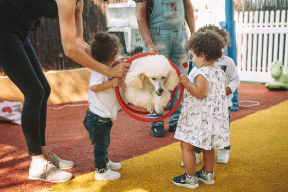 יום הולדת מקורי