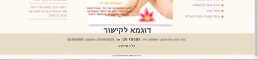 דוגמא לקישור באתר הלקוח